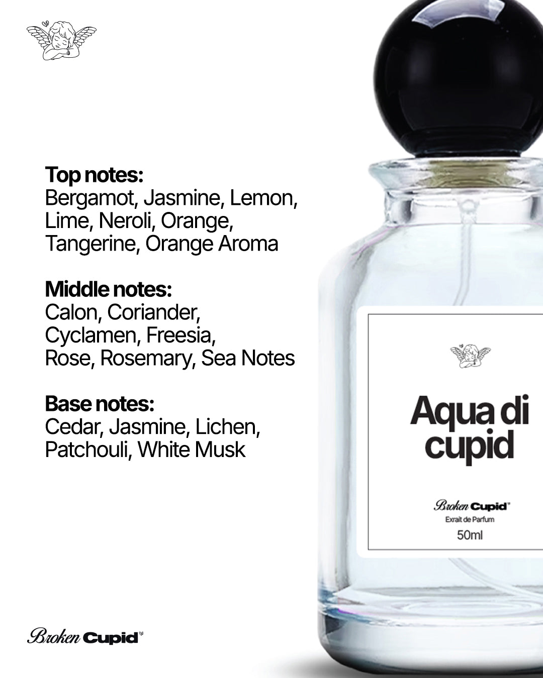 Aqua di cupid
