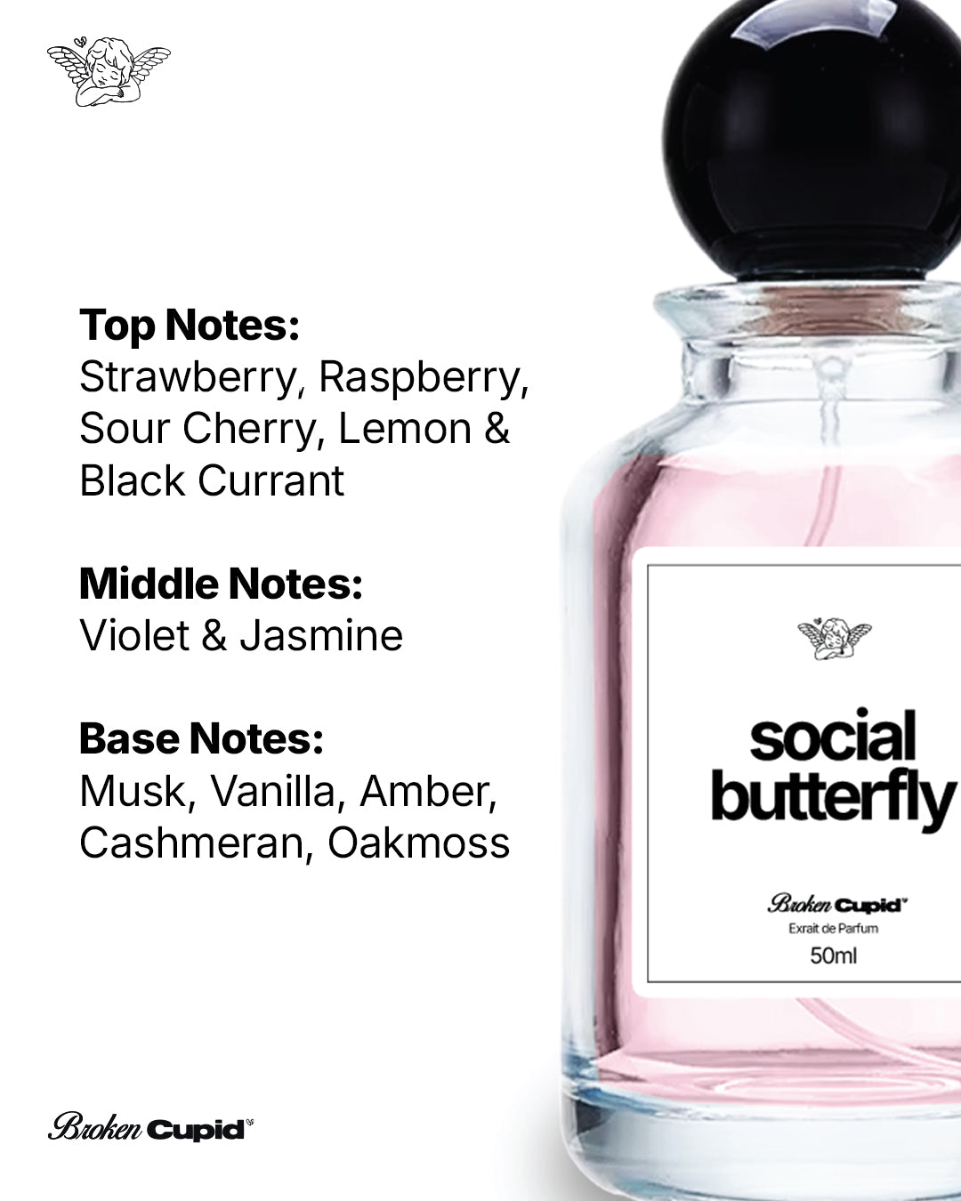 Social Butterfly