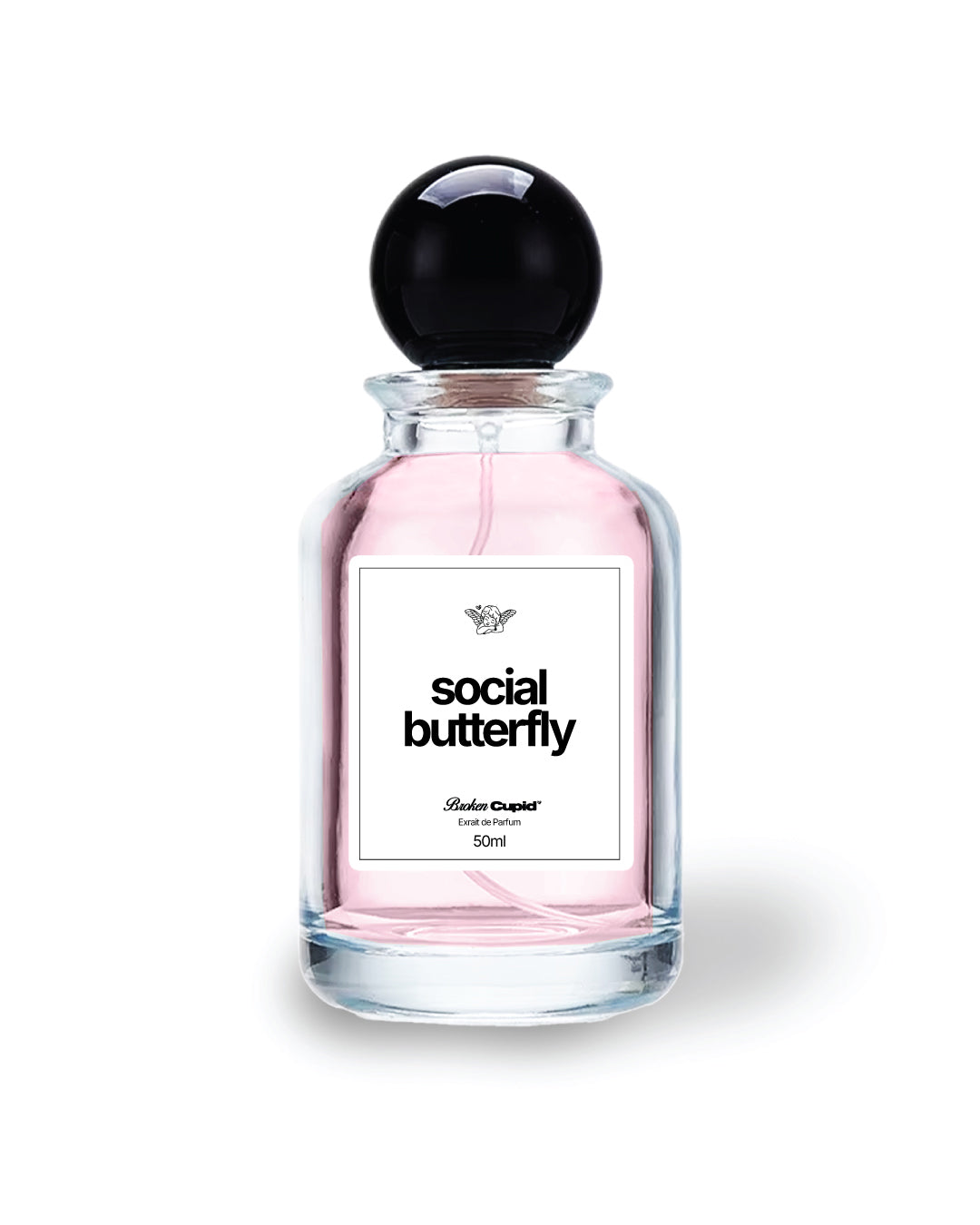 Social Butterfly