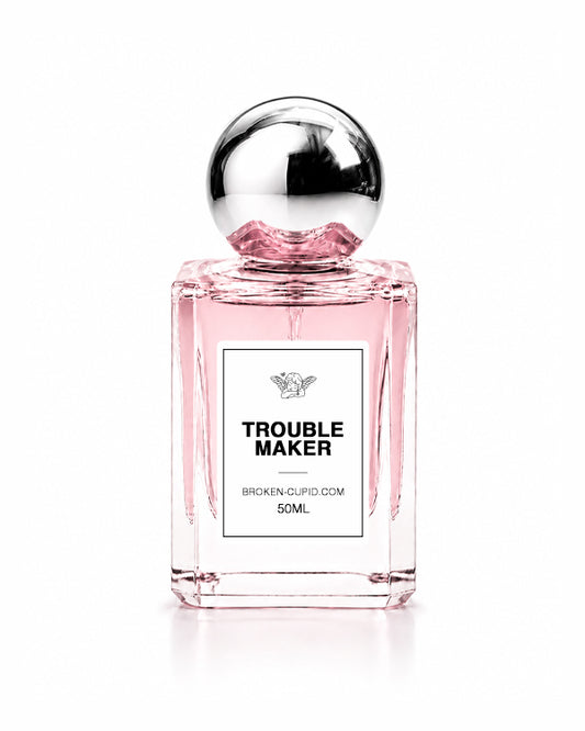 Troublemaker